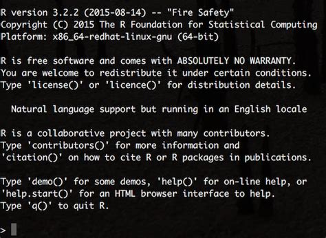 Image result for R Programming Terminal
