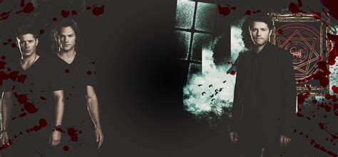 Image result for Random Twitter Logo