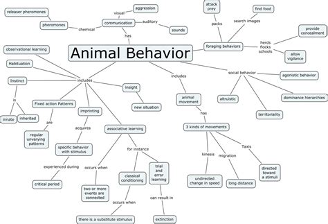 Animal Behavior に対する画像結果