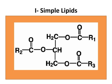 Afbeeldingsresultaten voor Simple Lipids Definition