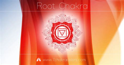 Image result for Root Base Chakra
