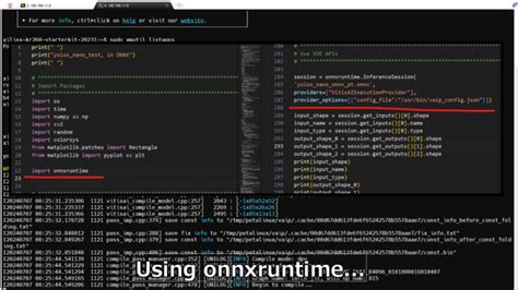 Vitis Python Console に対する画像結果