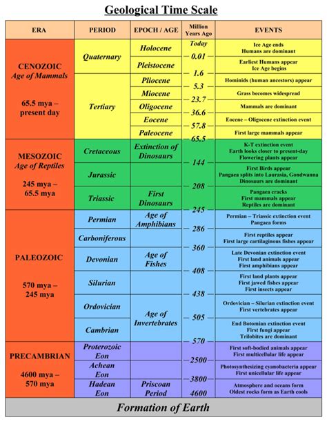 Geologic Time Scale Amazing Race Worksheet に対する画像結果