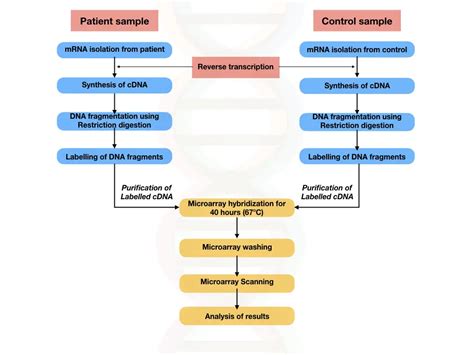 Image result for Microarray Genetic Testing