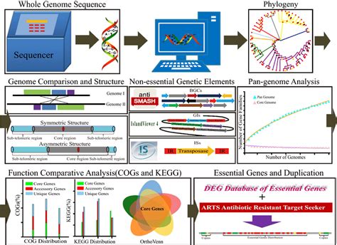 Image result for Genomic Analysis
