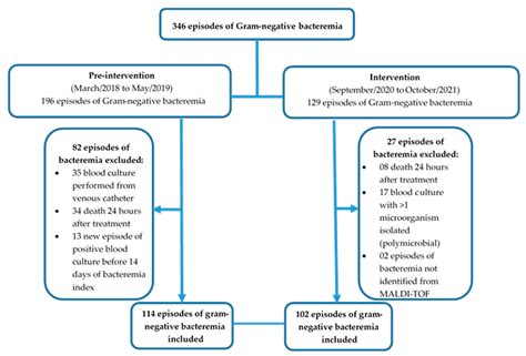 Image result for Gram-negative Bacteremia Algorithm
