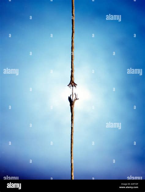 Image result for Thread Wall Hanging