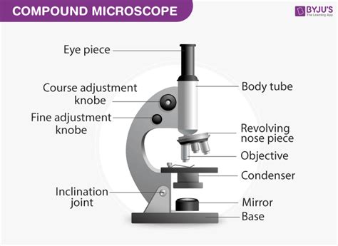 Image result for Compound Microscope Stage