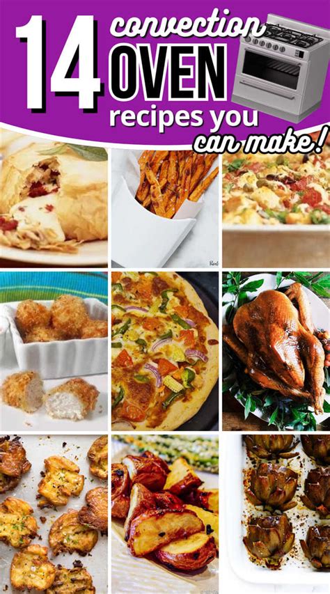 Image result for What Can You Make in a Convection Oven