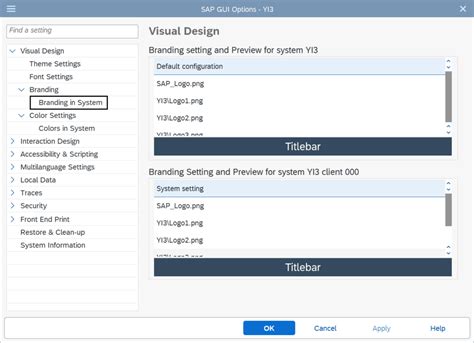 Image result for SAP GUI Settings