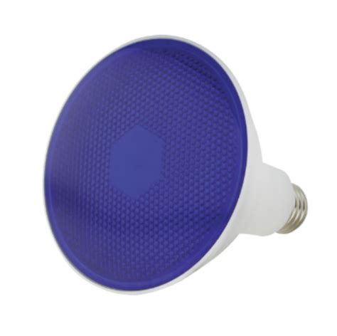 Afbeeldingsresultaten voor LED Blue Flood Light Bulb