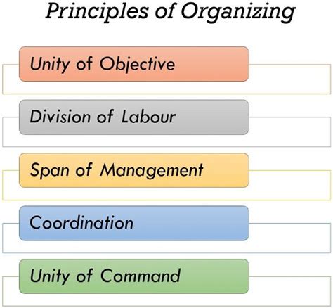 Toradh íomhá ar Process of Organizing