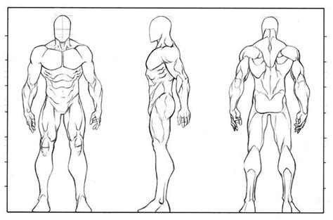 Image result for Front and Back Character Reference Sheet