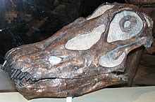 Image result for Diplodocus Verdediging