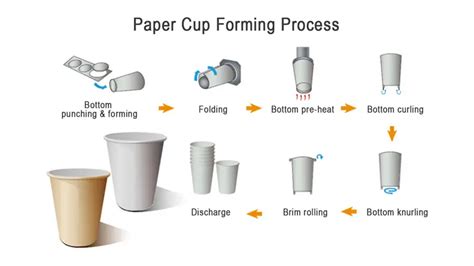 Toradh íomhá ar How It Works Paper Cup Forming Machine