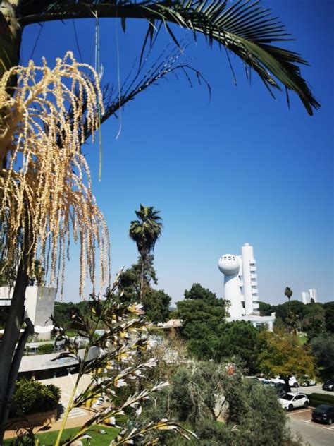 Image result for Nurture Curious