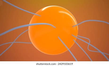 Toradh íomhá ar Mother Cell