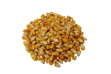 Image result for Ground Corn Feed