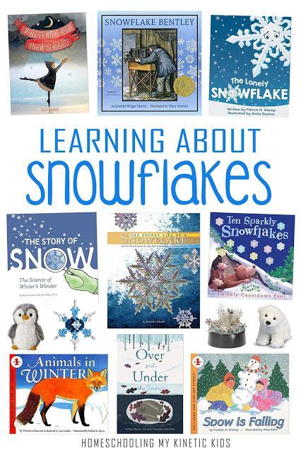 Image result for Books About Snow Flakes for First Grade