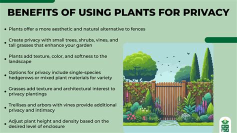 7 Best Plants for Beautiful Privacy Fence