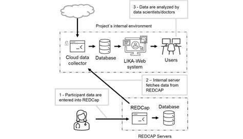 Electronic Data Capture Structure に対する画像結果