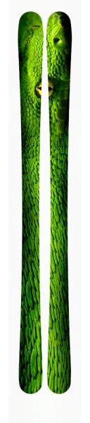 Image result for Python Ski Print