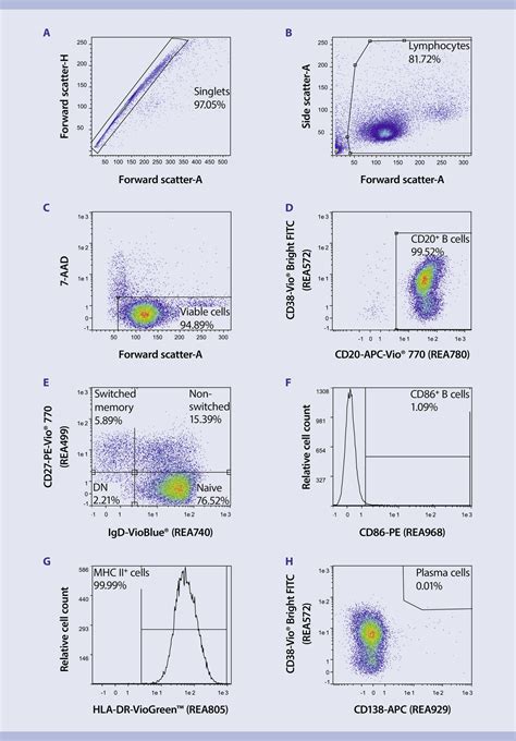 Toradh íomhá ar B-cell Subset Flow Cytometry Panel