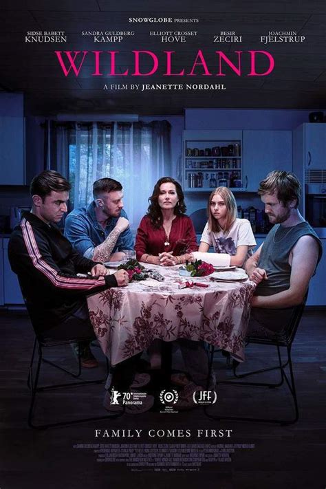 Image result for Wild Card Python