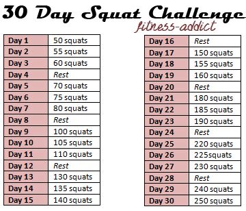 Toradh íomhá ar Programme Squat