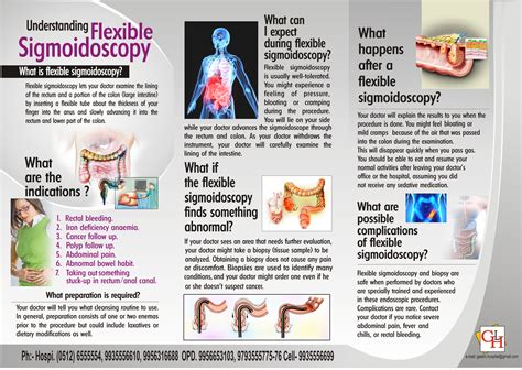 Image result for Sigmoidoscopy Picture