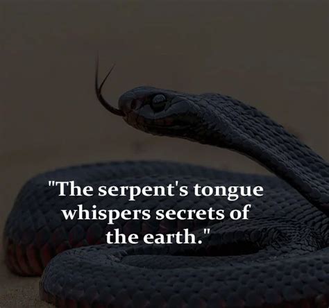 Python Snakequotes に対する画像結果