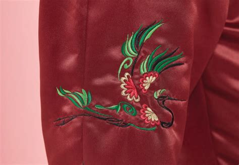 Toradh íomhá ar Long Fronted Designs for Embroidery