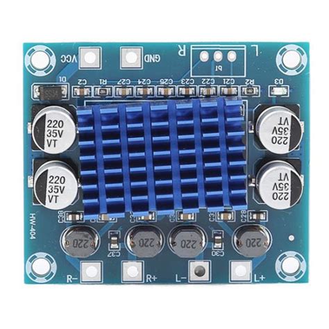 Image result for Digital Audio Amplifier Module