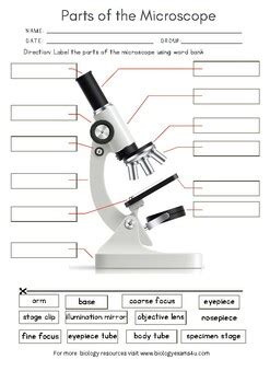 Image result for Compound Light Microscope Parts Worksheet