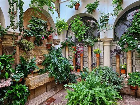 Toradh íomhá ar Patio Tour Script