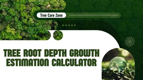 Image result for Root Depth Tree