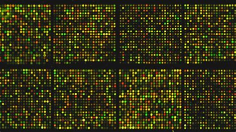 Image result for GeneChip Microarray