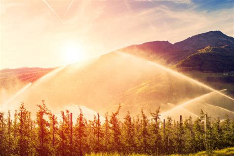 Image result for Edge Impulse Vineyard Irrigation