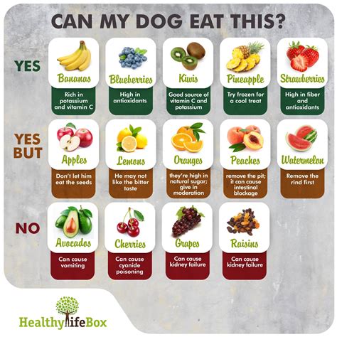 Toradh íomhá ar What Do Dogs Eat
