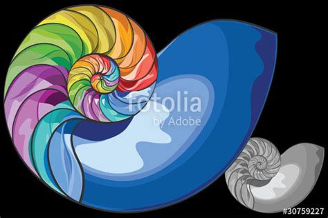 Image result for Nautilus Shell Matrix Multiplication by Vector