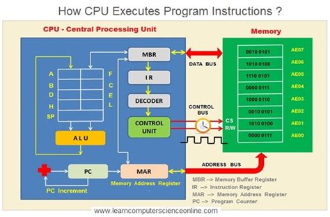 Image result for Part of the CPU Central Processing Unit