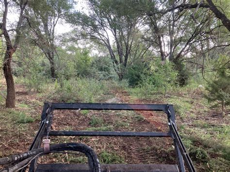 Image result for Clearing Trees for Pasture