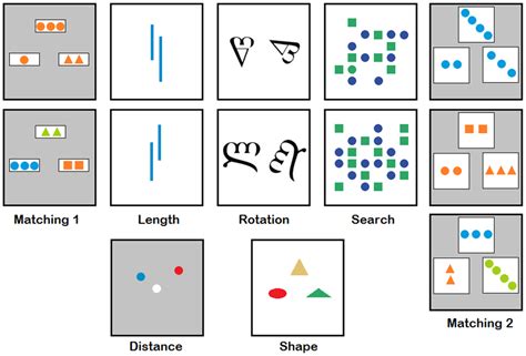 Image result for Processing Speed Task Example