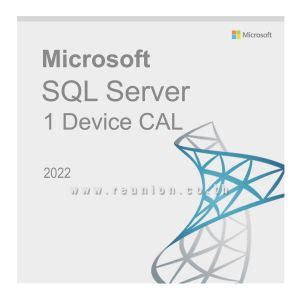 Image result for Server SQL Cal