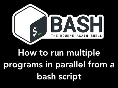 Image result for How to Use Bash to Run Script Over Multiple Times