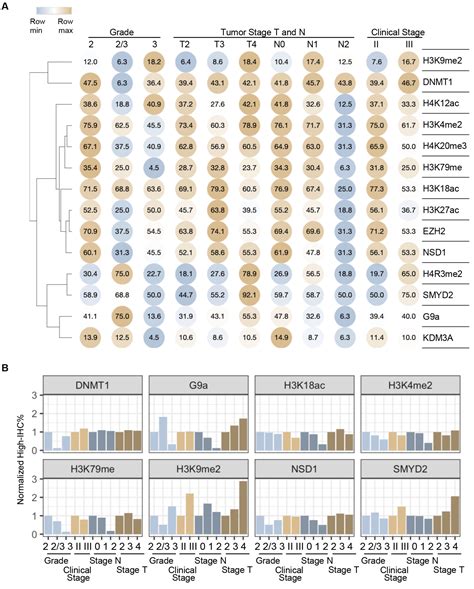 Afbeeldingsresultaten voor Frontier Profiling Histone Modification