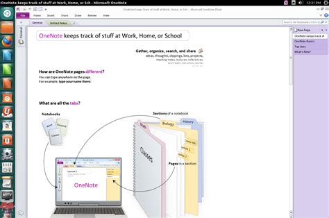 Image result for OneNote Tutorial