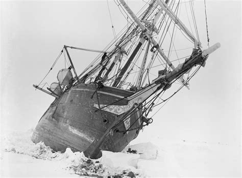 Afbeeldingsresultaten voor Shackleton 1983