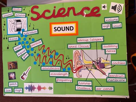 Toradh íomhá ar In Science Sounds and Its Sources