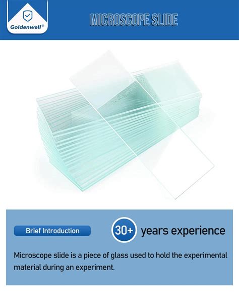 Microscope Plate に対する画像結果